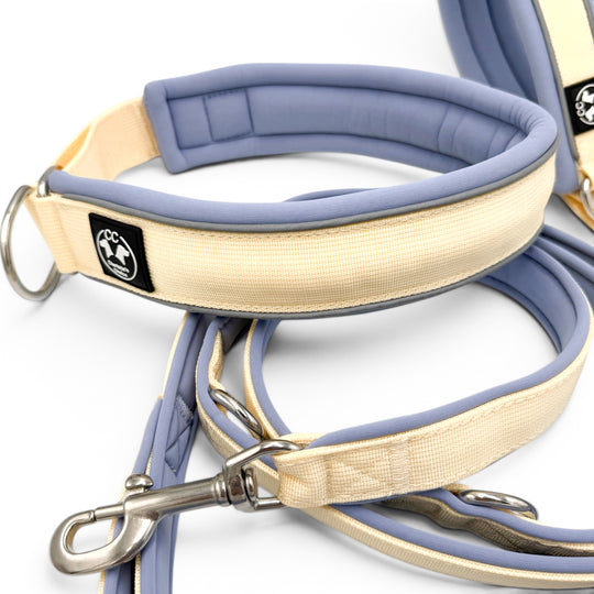 Frühlingsfarben Halsband und leine Zugstopp