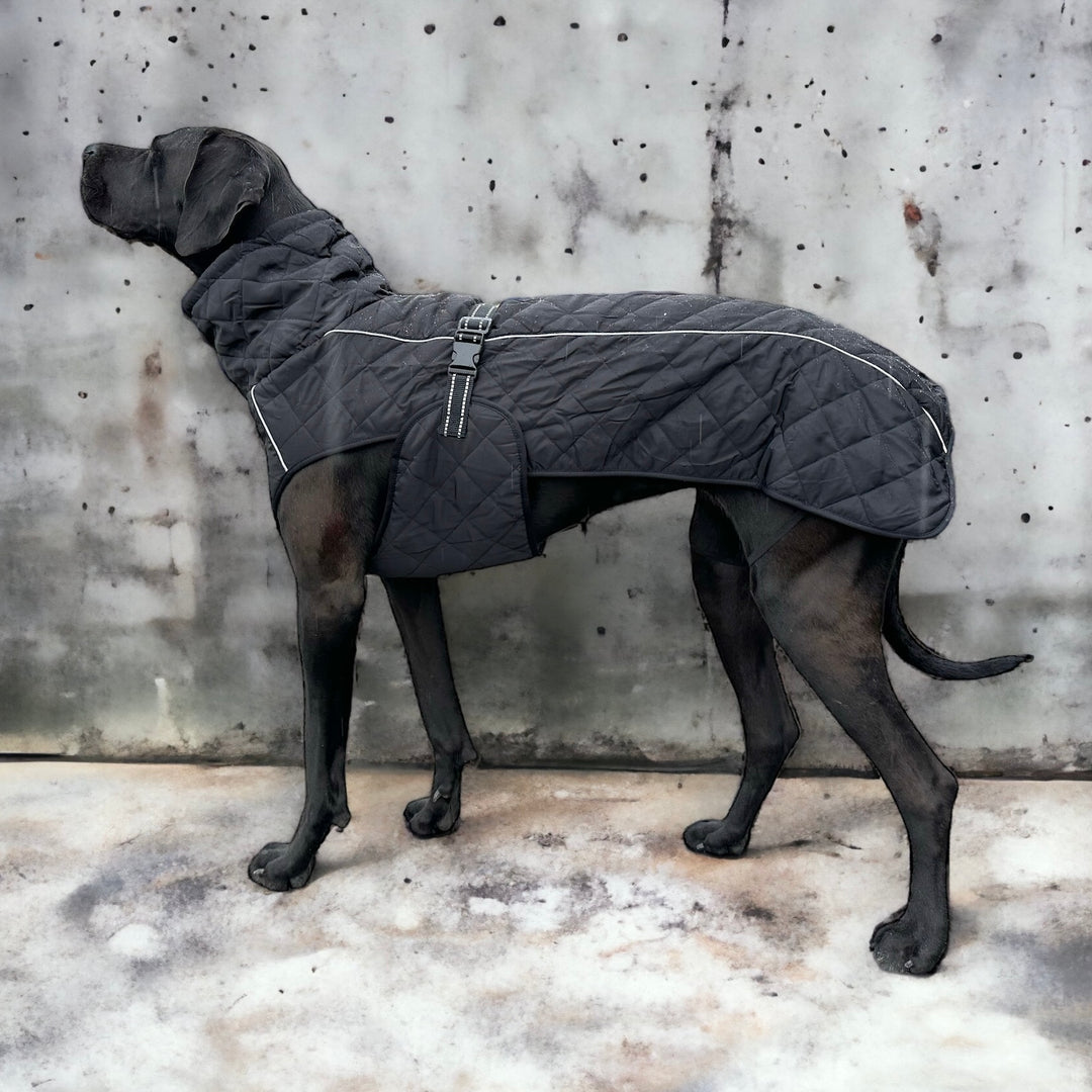 Steppo Canine Comfort-Hundemantel schwarz (45 cm-76 cm)
