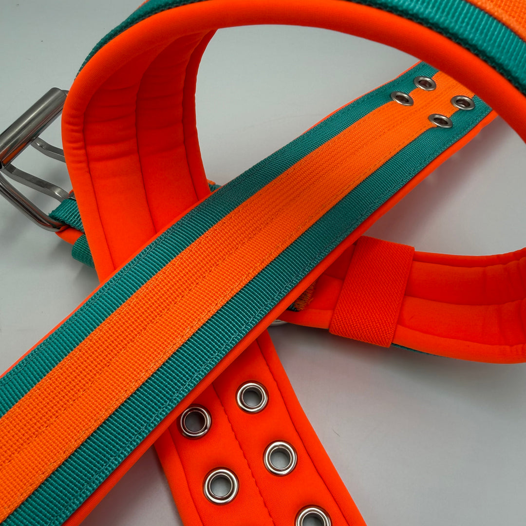 Neu: Guardian-CC Halsband 5cm breit (34 cm-62 cm)