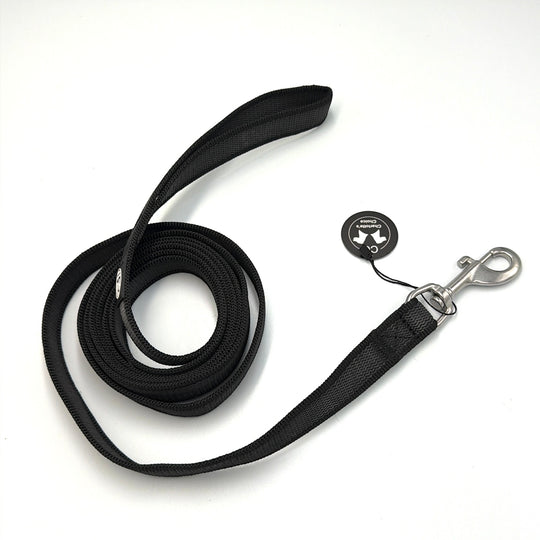 Gummierte Leine 2.5 cm 1/2/3/5/10/15 m Standard Karabiner