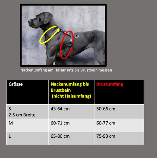 Geschirr Grössentabelle