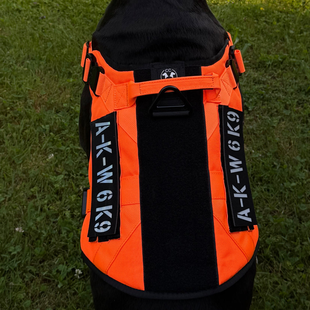 Geschirr für grosse Hunde neon orange beschriftet