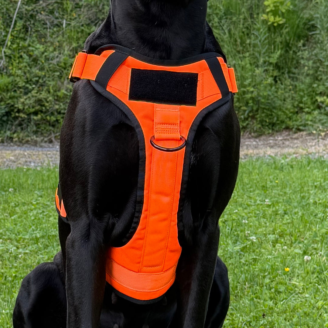 Geschirr für grosse Hunde neon orange mit Patch