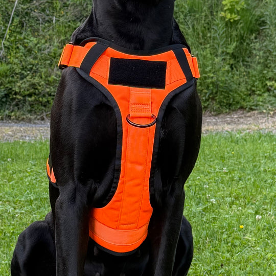 Geschirr für grosse Hunde neon orange mit Patch
