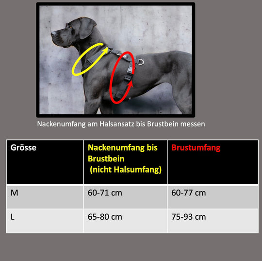 3Point Brustgeschirr On Duty No-Pull Haken