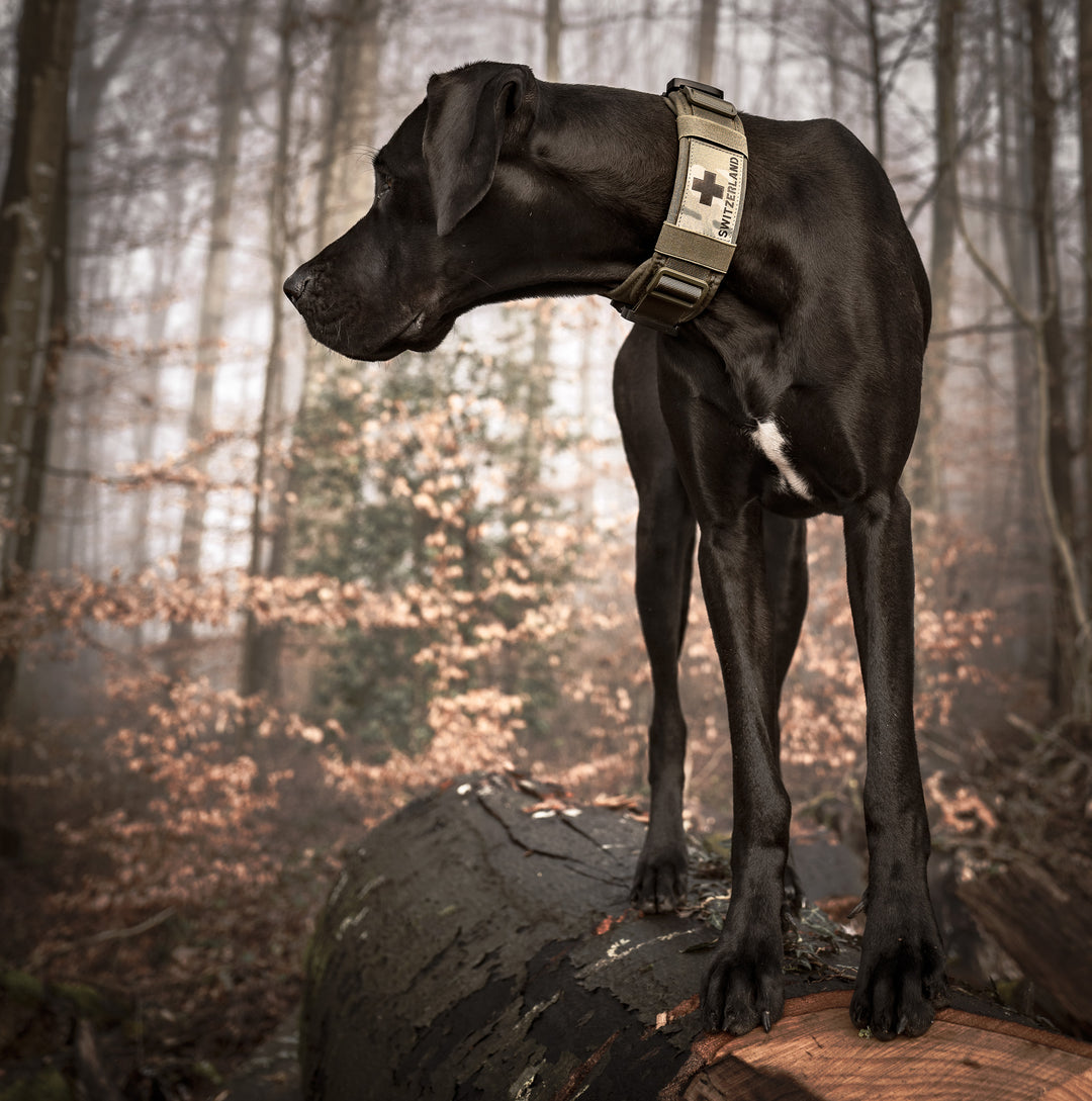Halsband breit mit griff