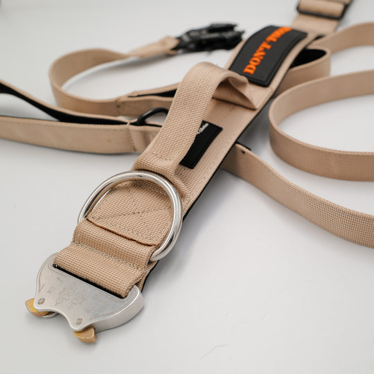 Halsband für starke Hunde beige mit sicherer Schnalle