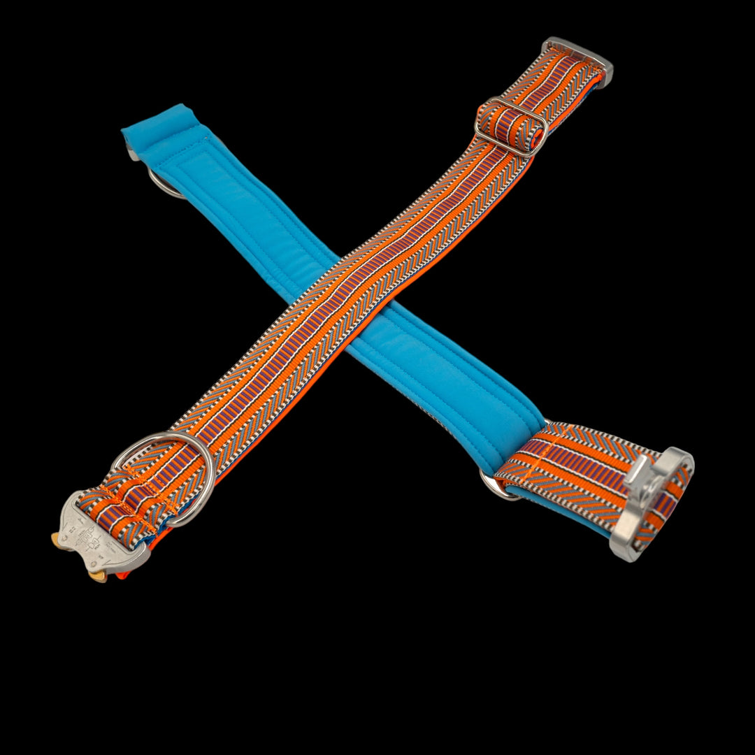 Halsband für starke Hunde mit polster blau orange
