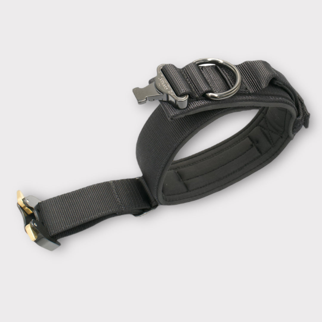 Halsband grosse Hunde breit schwarz 5 cm breit gepolstert