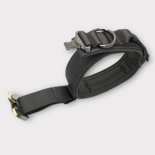 Halsband grosse Hunde breit schwarz 5 cm breit gepolstert