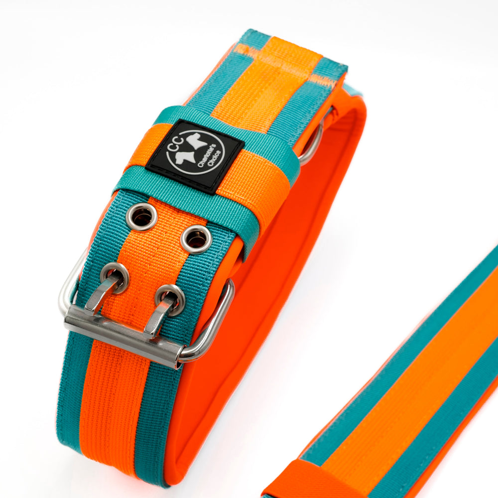 Guardian-CC Halsband 5cm breit (33 cm-66 cm)