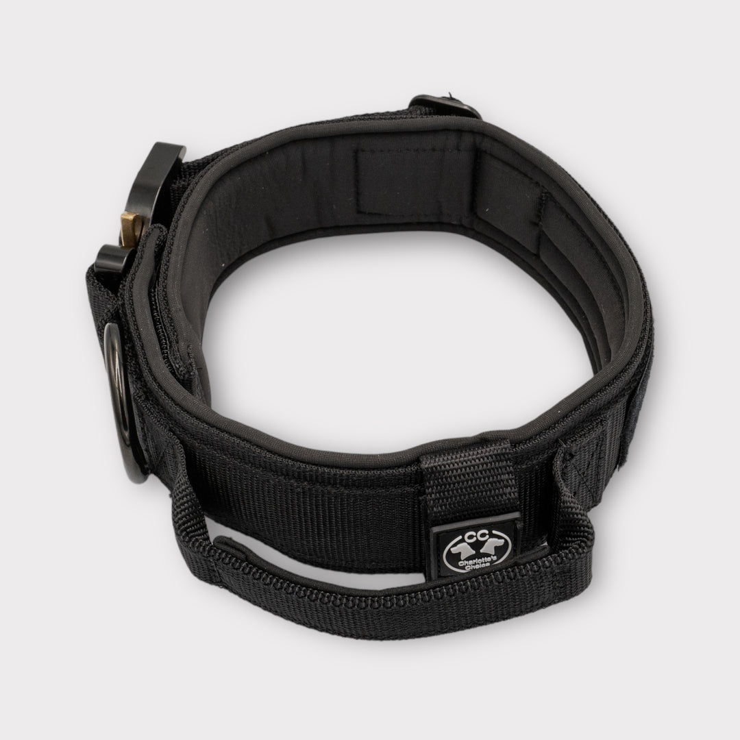 Halsband schwarz robust