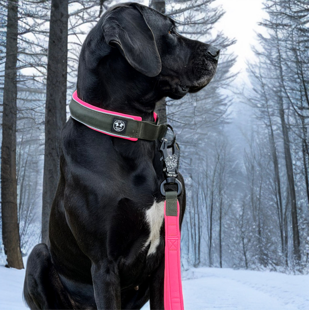 Comfo-Zugstopp limited edition Dark army 4&5 cm Breite (35 cm-60 cm)