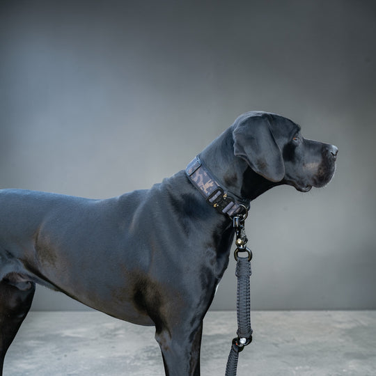 Édition limitée rose et camouflage 5 cm de large (41 cm-60 cm) - camouflage noir (<tc>mousqueton</tc> rose)