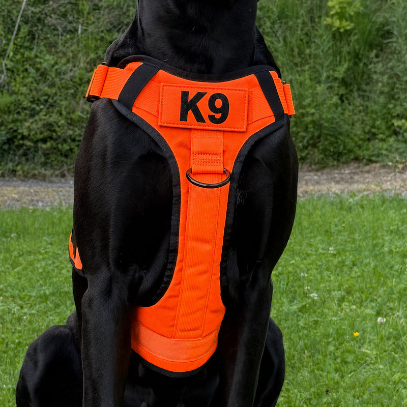 Hundegeschirr für Diensthunde