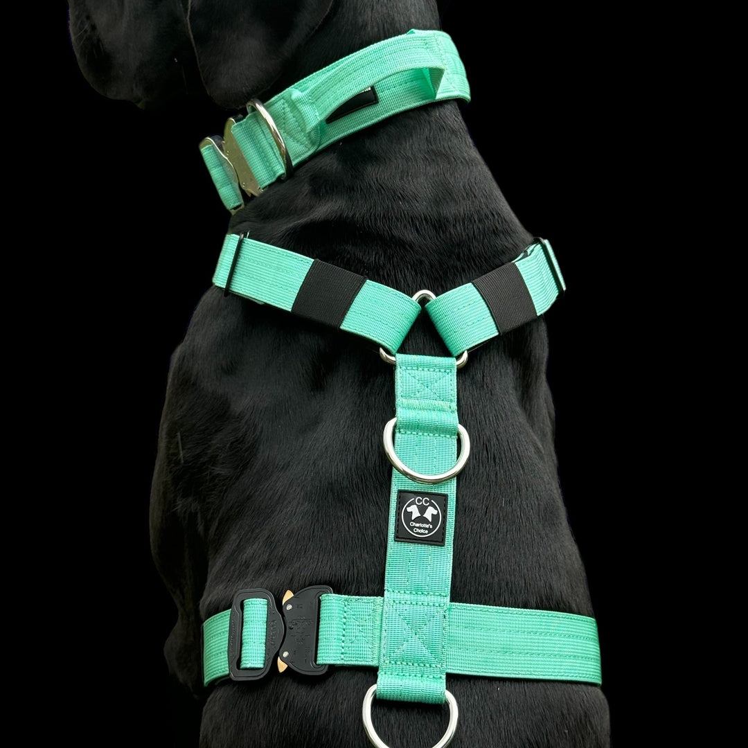 Hunde Geschirr für grosse Hunde mint