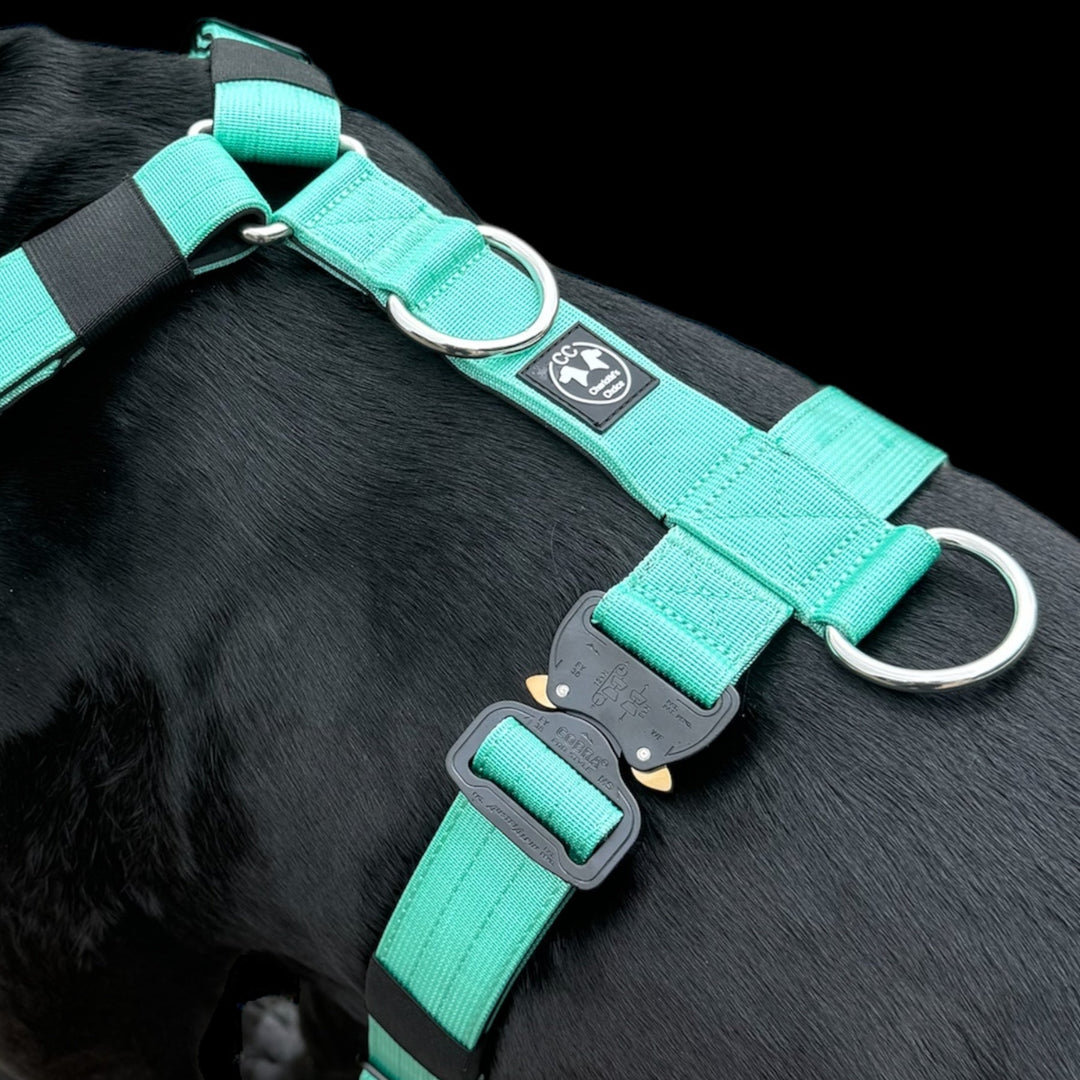 Hunde Geschirr für grosse Hunde mint