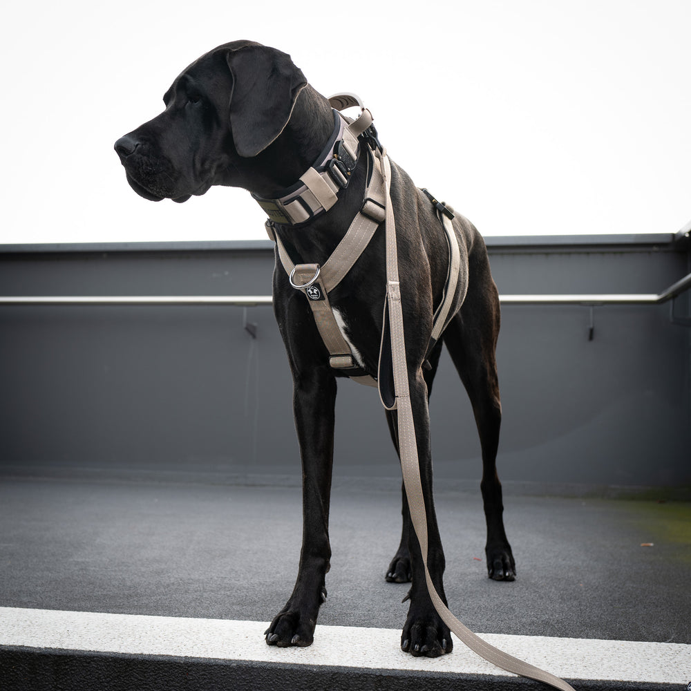 Hunde Geschirr für grosse Hunde mit Cobra Sicherheitsschnalle