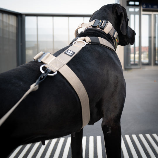 Hunde Geschirr für grosse Hunde mit Cobra Sicherheitsschnalle extra robust