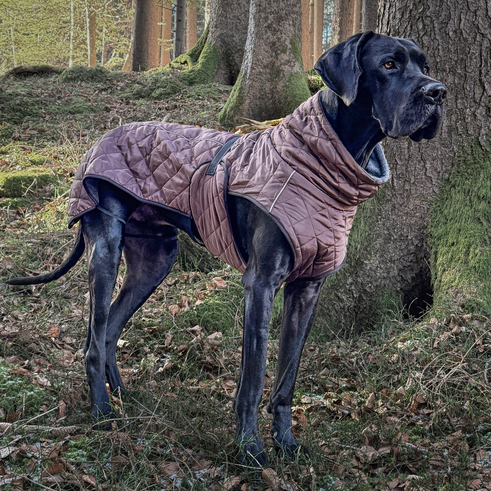 Hundemantel für Deutsche Dogge braun