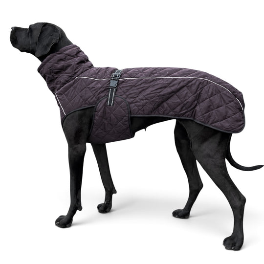 Dog Coat Steppo V2 Canine Comfort Reflective Brown (55 cm-82 cm)