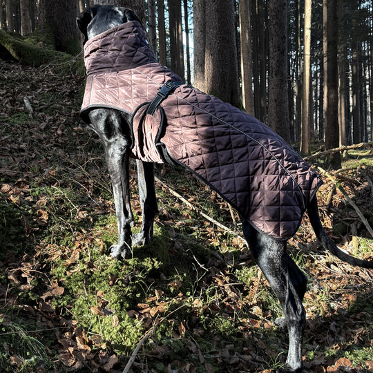 Hundemantel für grosse Hunde  Dogge braun