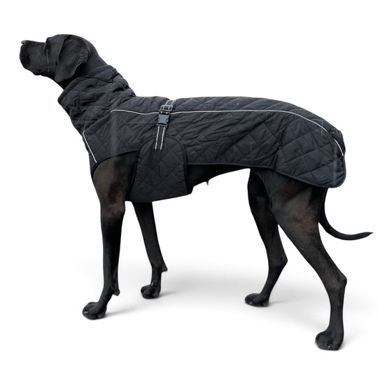 Dog Coat Steppo Canine Comfort Reflective Black Red (45 cm-76 cm)