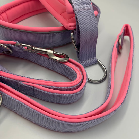 Halsband und Leine Set flieder violett