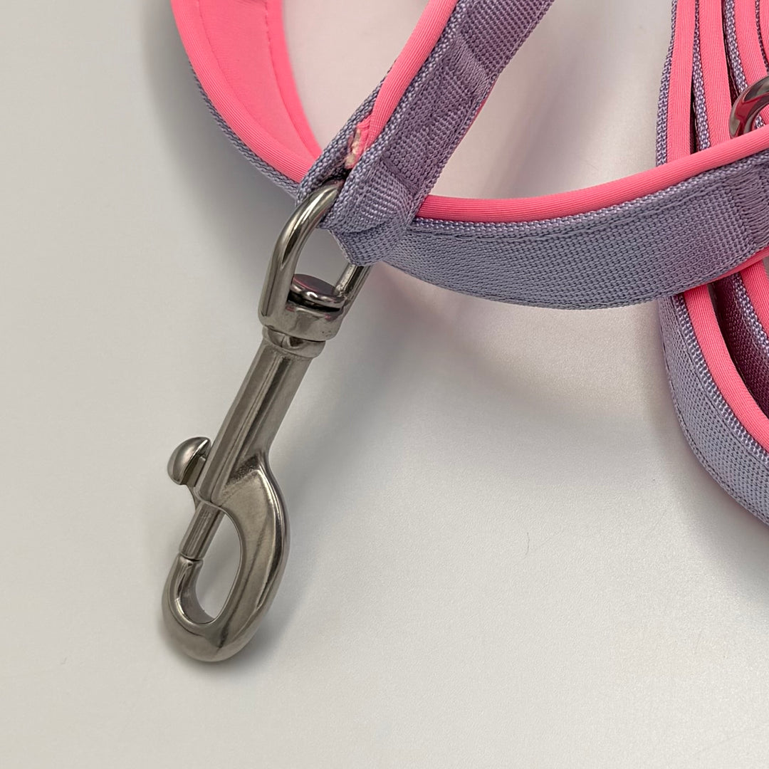 Adjustable <tc>leash</tc> 2.20 m Candy fully upholstered