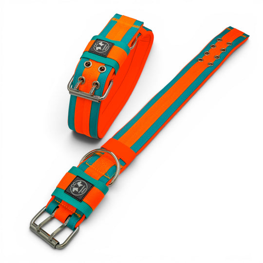 Neu: Guardian-CC Halsband 5cm breit (34 cm-62 cm)