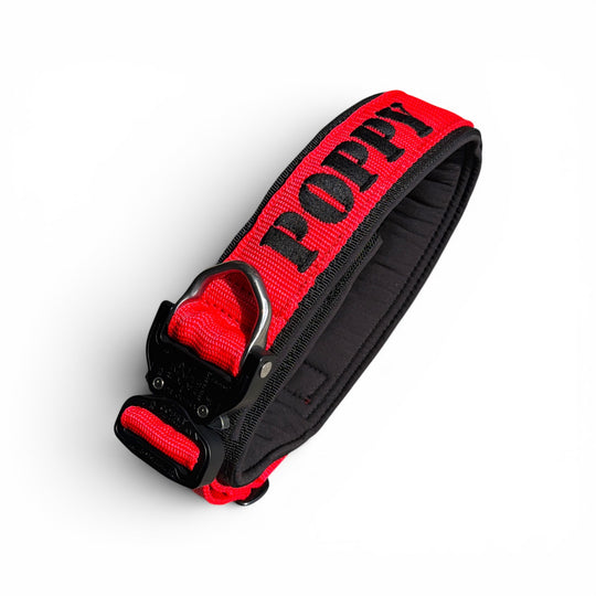 Luxus Heavy Duty Halsband 5 cm /7 cm/ 10 cm für grosse Hunde (zusätzliche Polster-Unterlage)