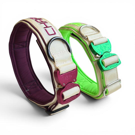 Luxus Heavy Duty Halsband 5 cm /7 cm/ 10 cm für grosse Hunde (zusätzliche Polster-Unterlage)