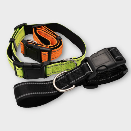 Halsband Easy 2.5 cm breit (35 cm-70 cm) - schwarz/neongrün/orange
