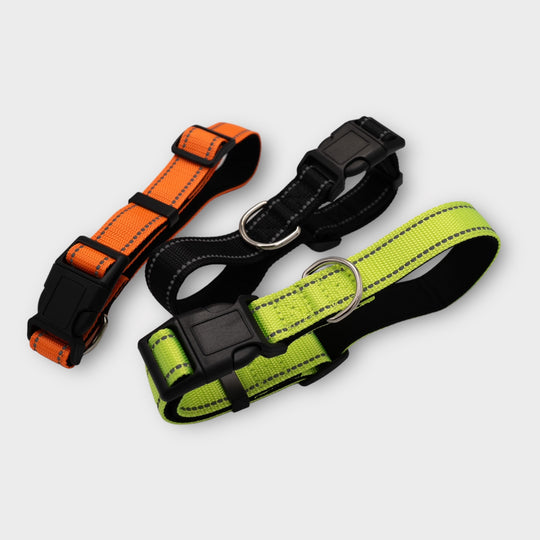 Halsband Easy 2.5 cm breit (35 cm-70 cm) - schwarz/neongrün/orange