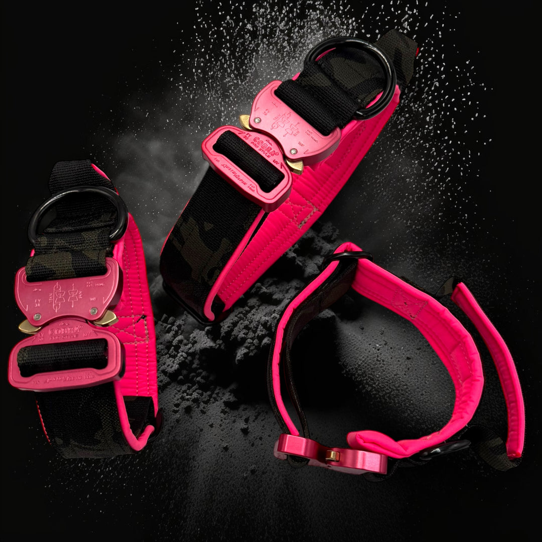 Limited Edition pink&camouflage 4 cm breit (36 cm-59 cm) - black camouflage (Schnalle pink)