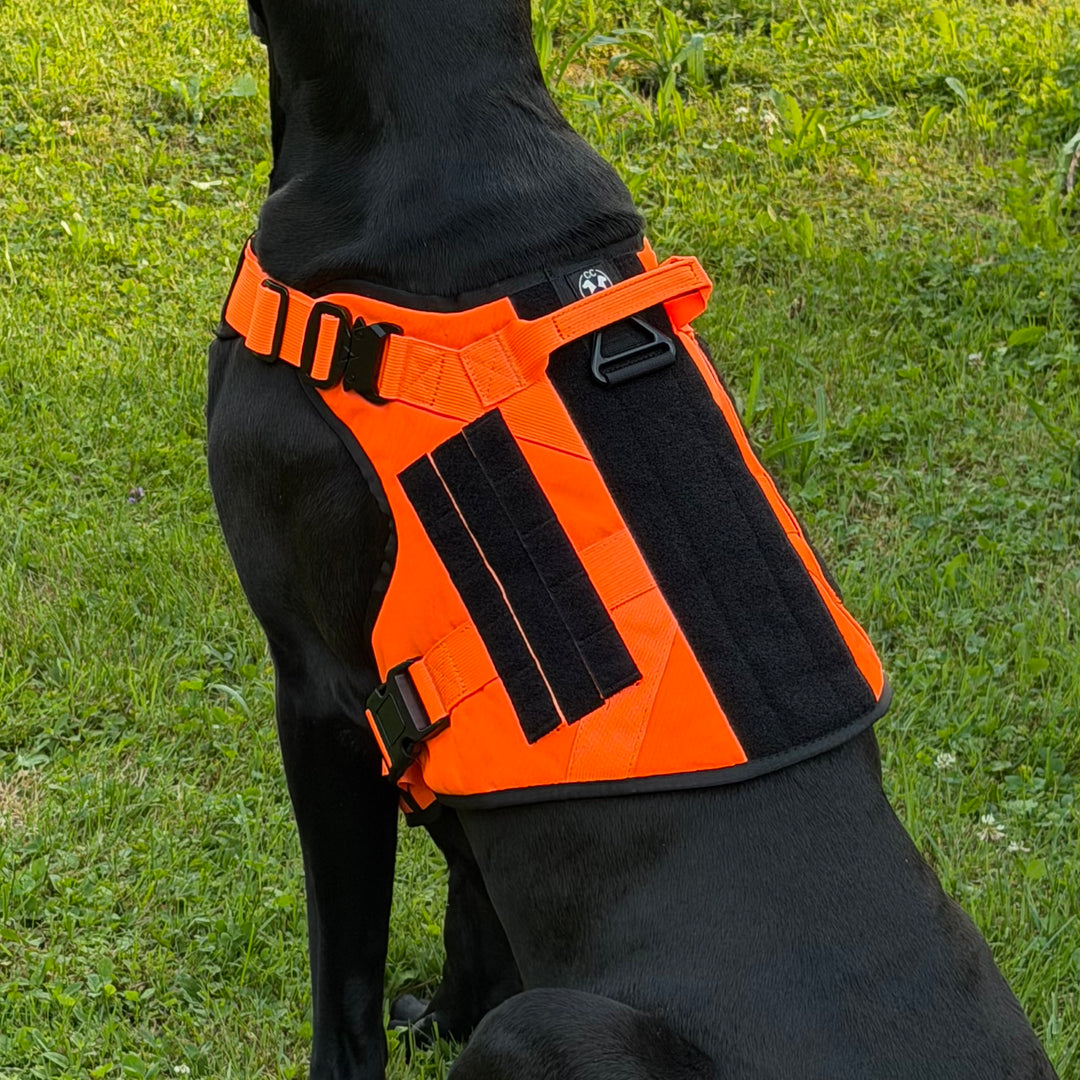Geschirr für grosse Hunde