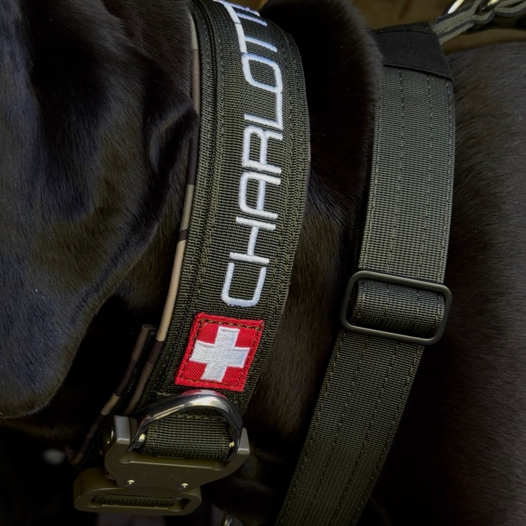 Luxus Heavy Duty Halsband 5 cm /7 cm/ 10 cm für grosse Hunde (zusätzliche Polster-Unterlage)