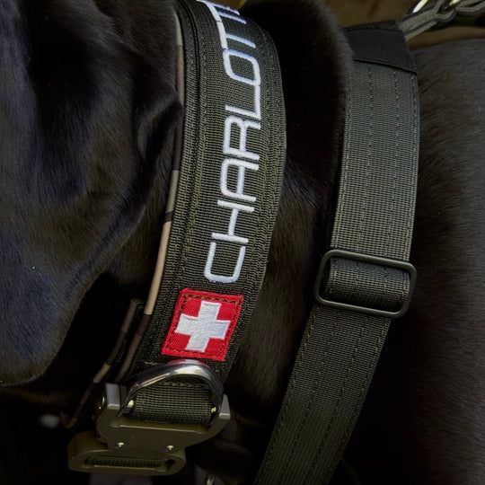 Luxus Heavy Duty Halsband 5 cm /7 cm/ 10 cm für grosse Hunde (zusätzliche Polster-Unterlage)