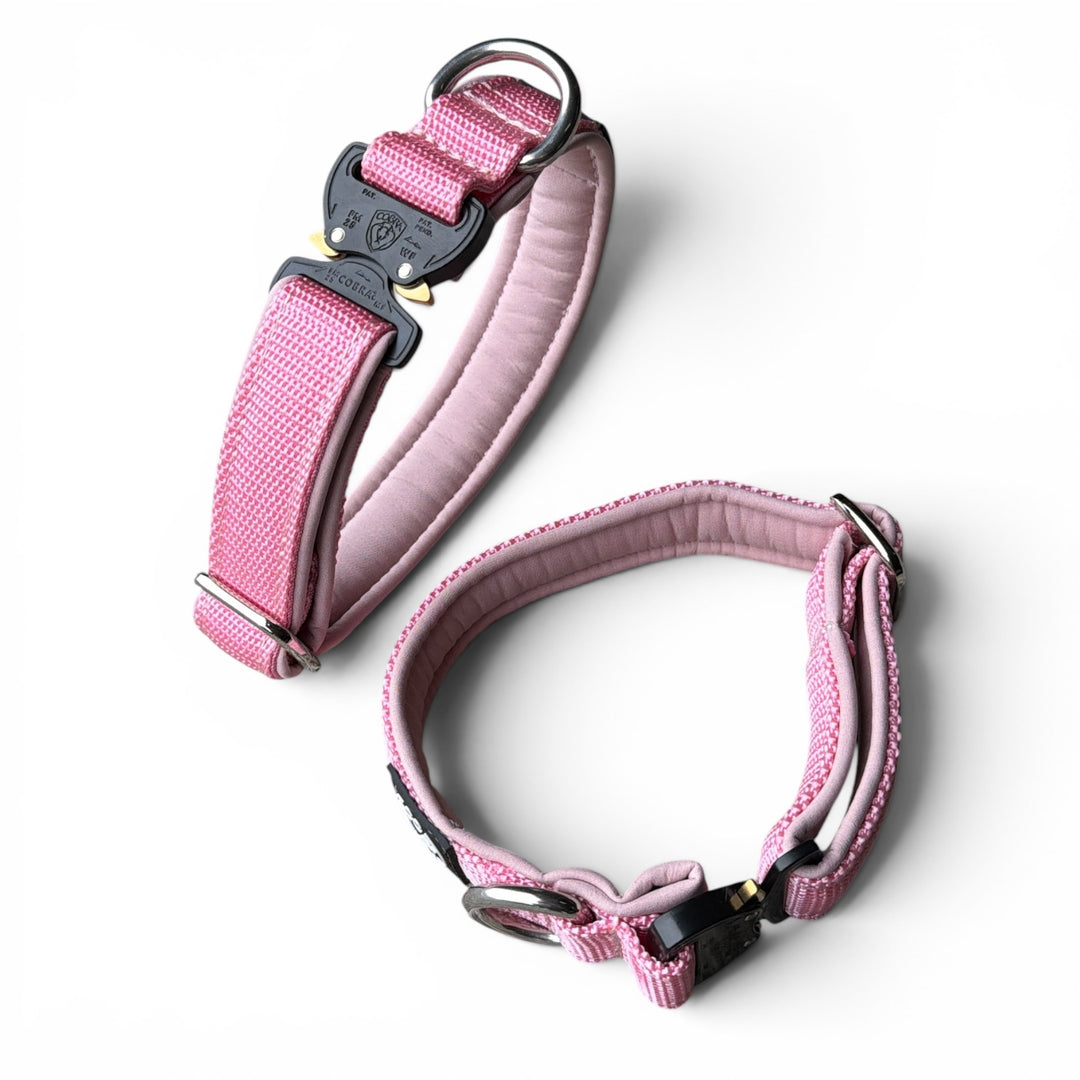 Mini Cobra 2.5 cm Collar for Small Dogs & Puppies (25 cm-37 cm)