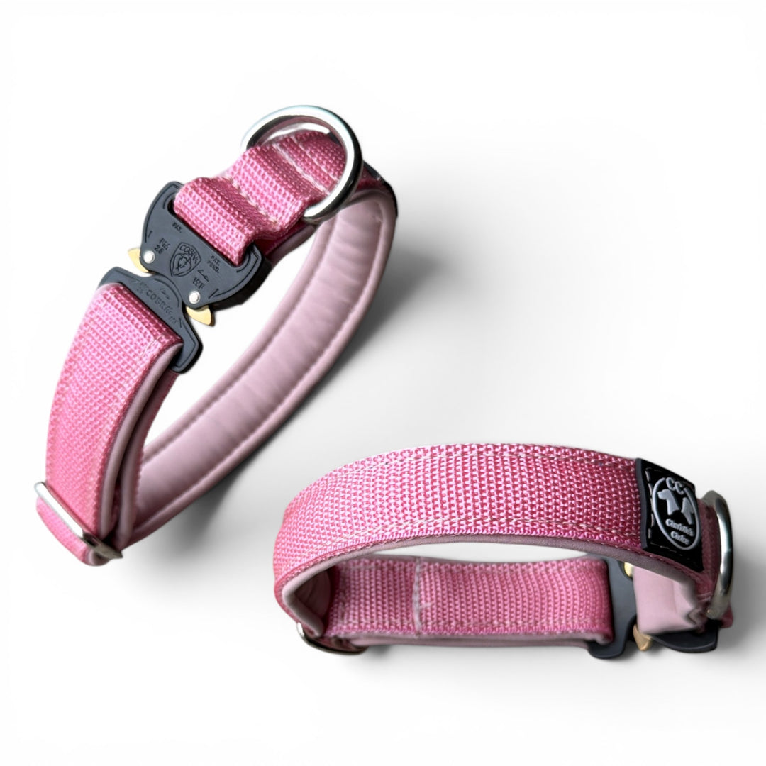 Mini Cobra 2.5 cm Collar for Small Dogs & Puppies (25 cm-37 cm)