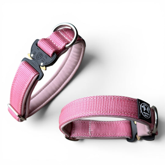 Mini Cobra 2.5 cm Collar for Small Dogs & Puppies (25 cm-37 cm)