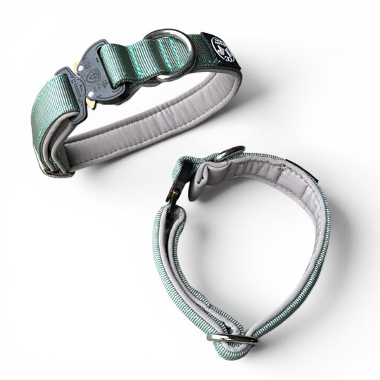 Mini Cobra 2.5 cm Collar for Small Dogs & Puppies (25 cm-37 cm)