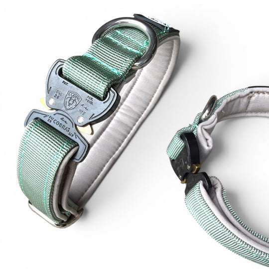 Mini Cobra 2.5 cm Collar for Small Dogs & Puppies (25 cm-37 cm)
