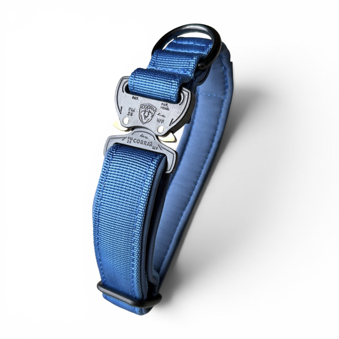 Mini Cobra 2.5 cm Collar for Small Dogs & Puppies (25 cm-37 cm)