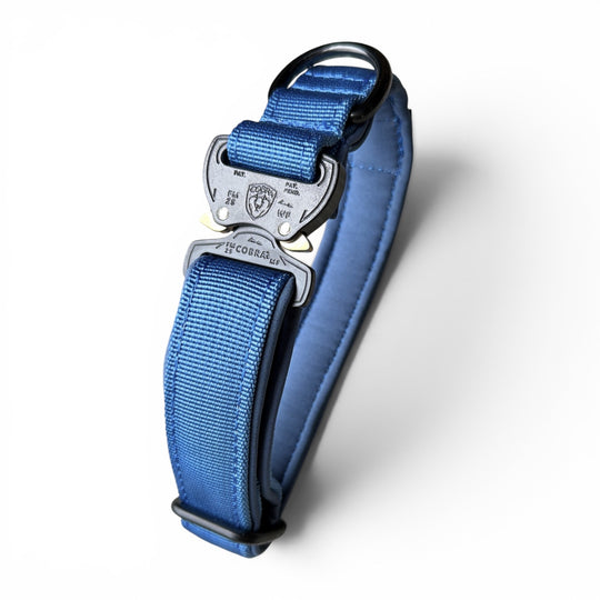 Mini Cobra 2.5 cm Collar for Small Dogs & Puppies (25 cm-37 cm)