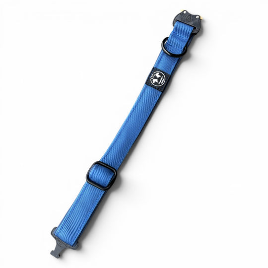 Mini Cobra 2.5 cm Collar for Small Dogs & Puppies (25 cm-37 cm)