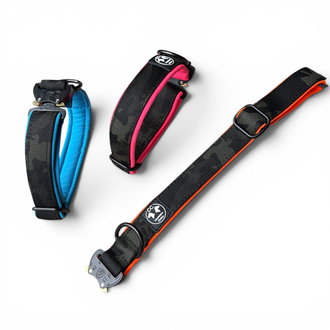 Mini Cobra 2.5 cm Collar for Small Dogs & Puppies (25 cm-37 cm)