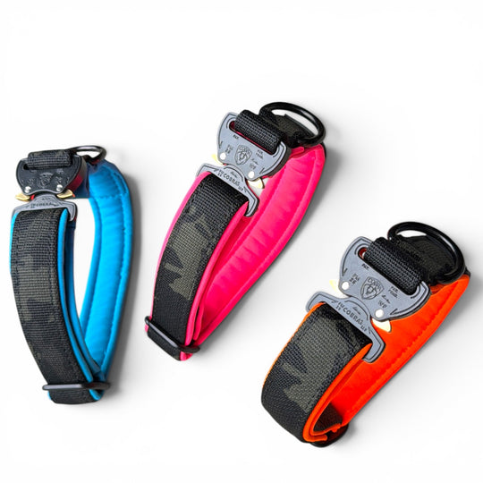 Mini Cobra 2.5 cm Collar for Small Dogs & Puppies (25 cm-37 cm)