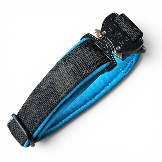 Mini Cobra 2.5 cm Collar for Small Dogs & Puppies (25 cm-37 cm)