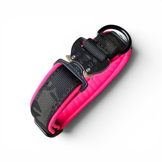 Mini Cobra 2.5 cm Collar for Small Dogs & Puppies (25 cm-37 cm)